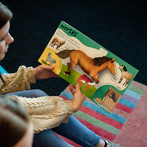 Looking at a book for a child